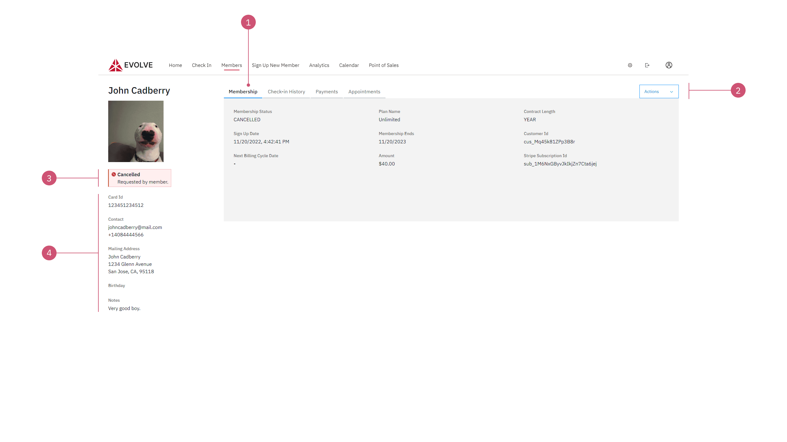 Member Profile Anatomy